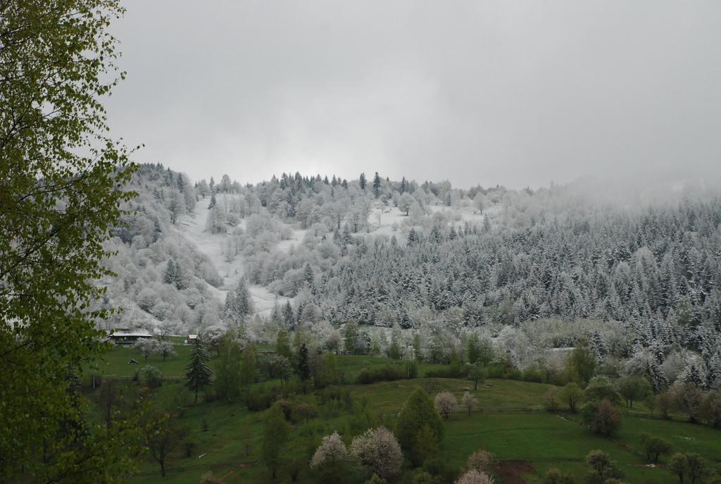 Kraevyd Hotel Yaremche Bagian luar foto